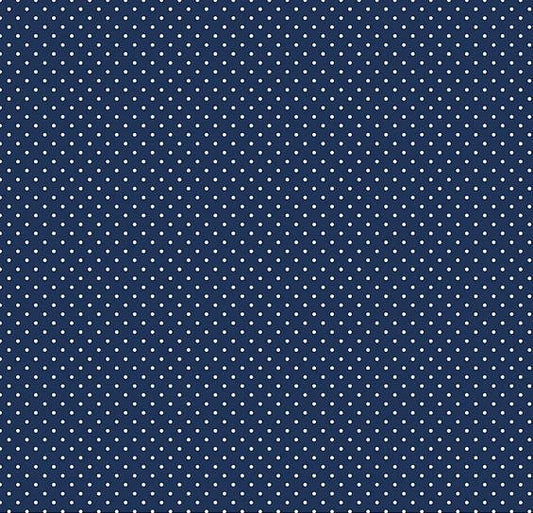 C670-21NAVY _ tecido