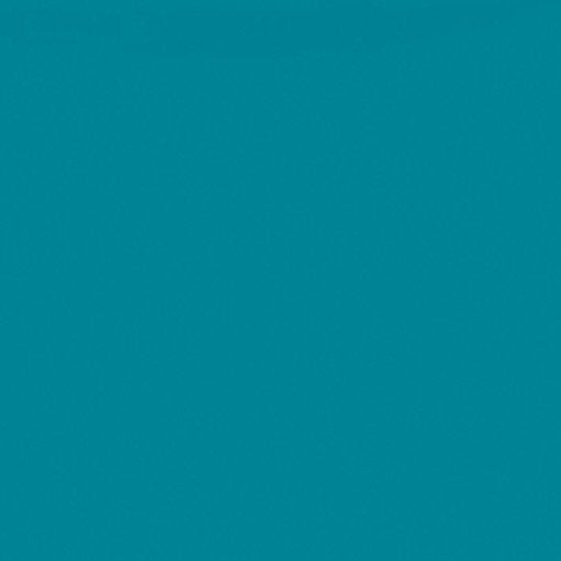 CSFSESS-OBLUE _ tecido