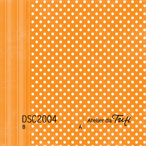 DSC2004A.B _ papel|paper