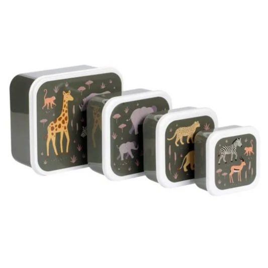 Caixas conj. 4 savanna