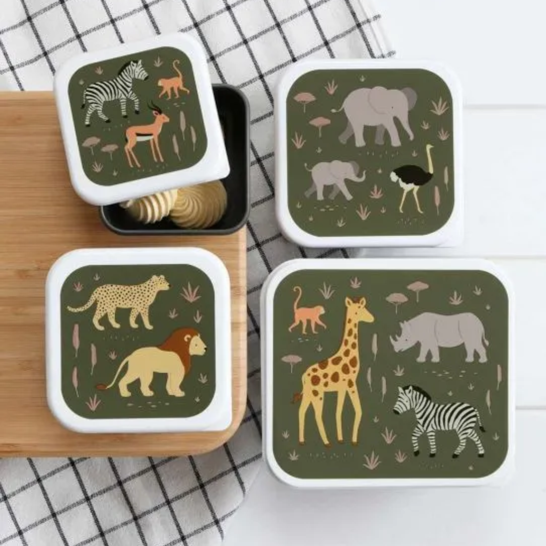 Caixas conj. 4 savanna