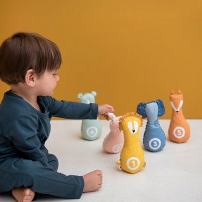 Bowling kit animais