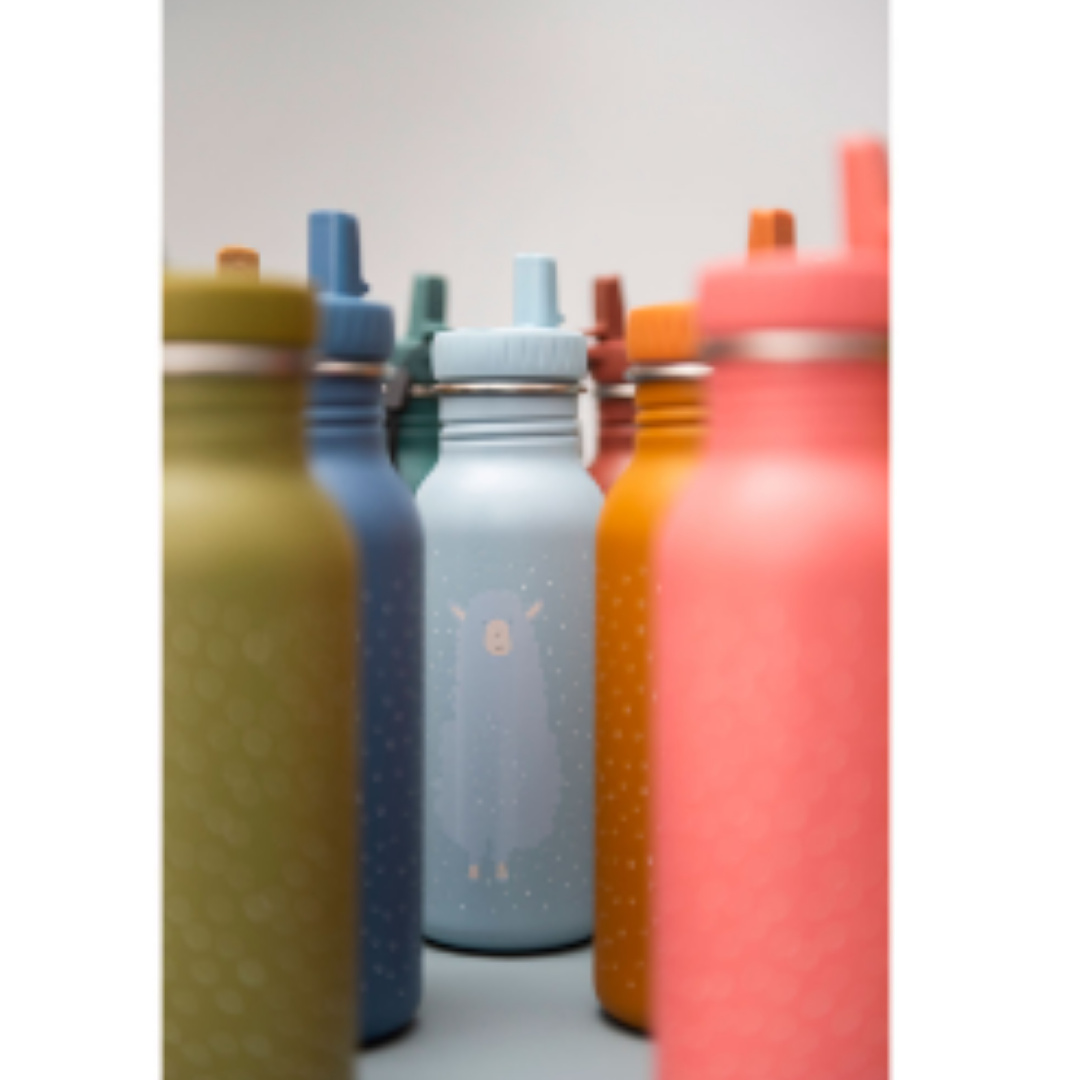 Garrafa Girafa 500ml